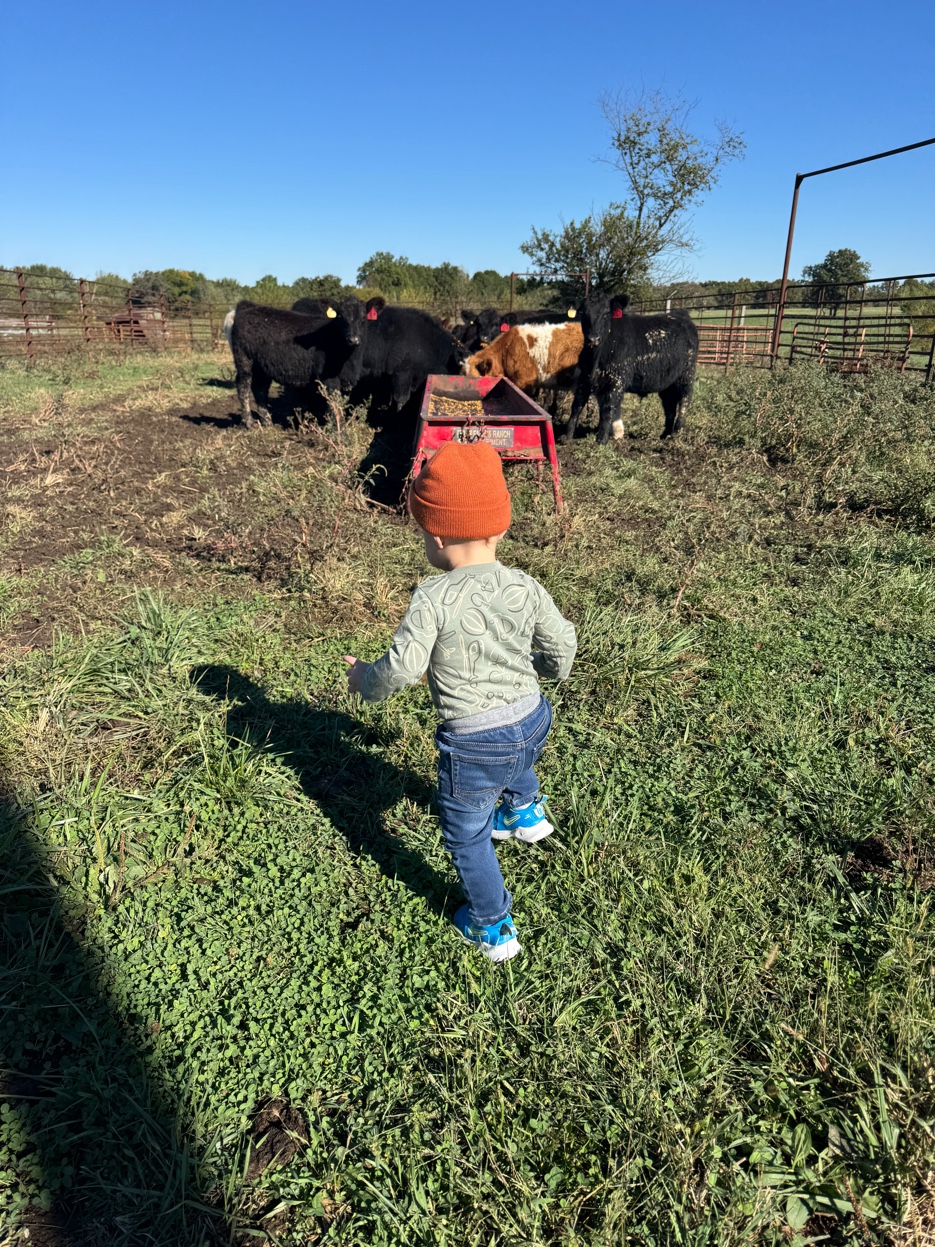 The next generation on the Heath family farm